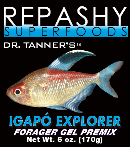 Repashy Spawn & Grow - Tropical Freshwater Fish For Sale Online - The Wet  Spot Tropical Fish